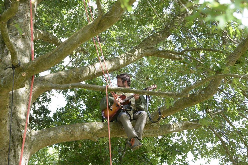 Les amuseurs des arbres