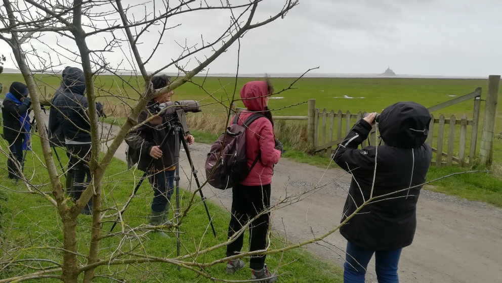 Sortie observation des oiseaux