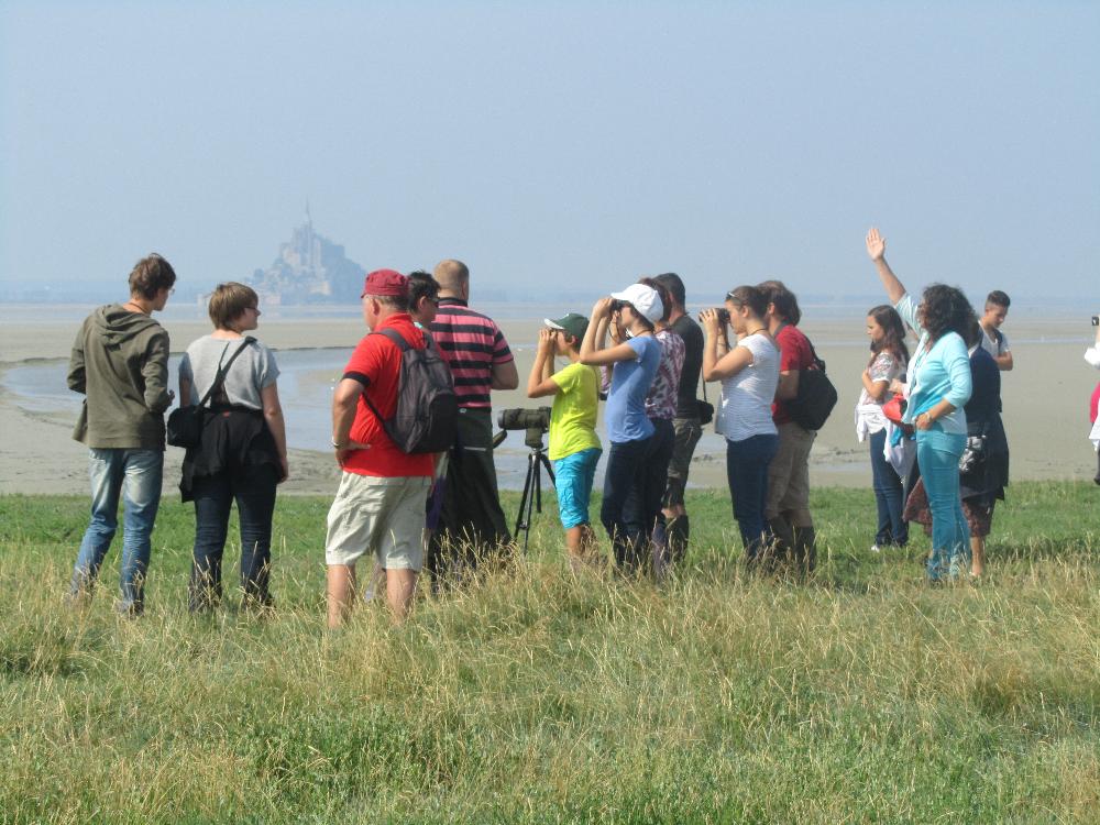 P'TITE SORTIE SUR LES PRES-SALES