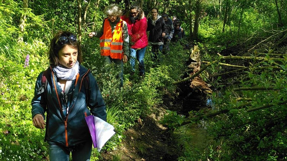 Balade découverte des secrets du bocage 