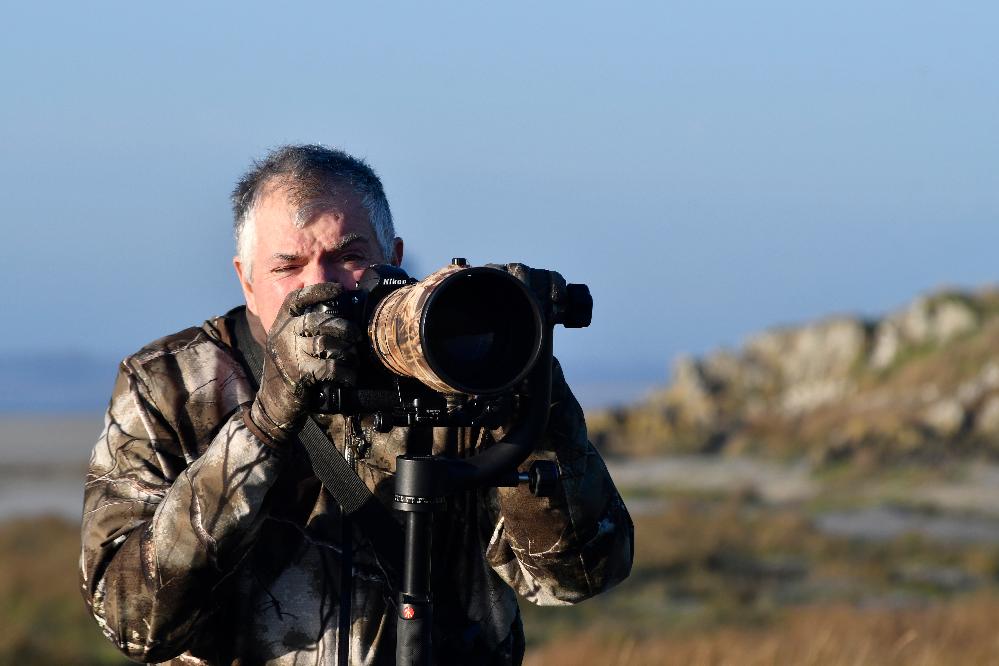 Espèces discrètes : la photo pour débutant