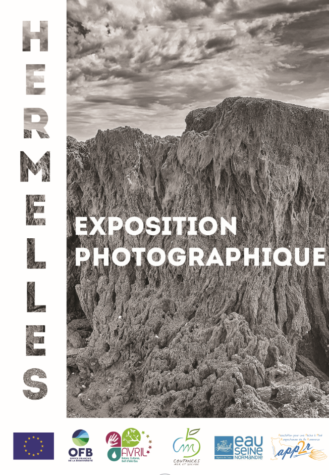 Exposition "hermelles"
