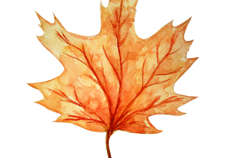 Atelier « illustration d'automne » (9- 15 ans)