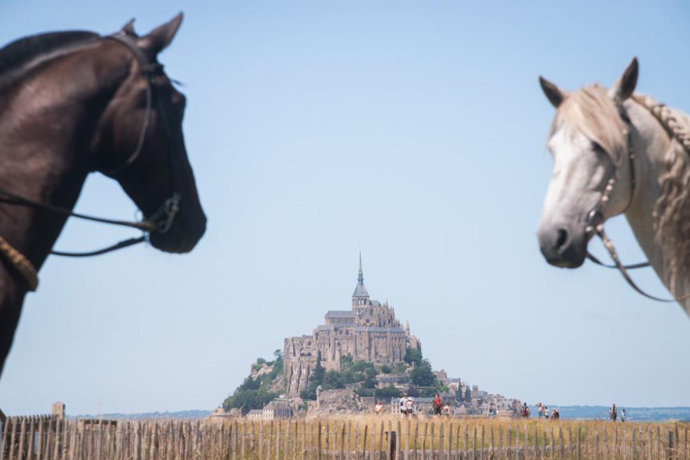 SPECTACLE ÉQUESTRE « Sòl & Màni » 