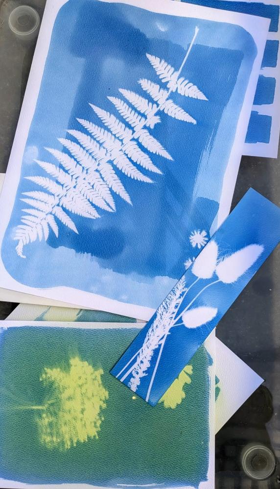 Atelier photographie au cyanotype 