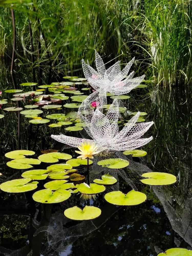 Le monde flottant de Claude Monet