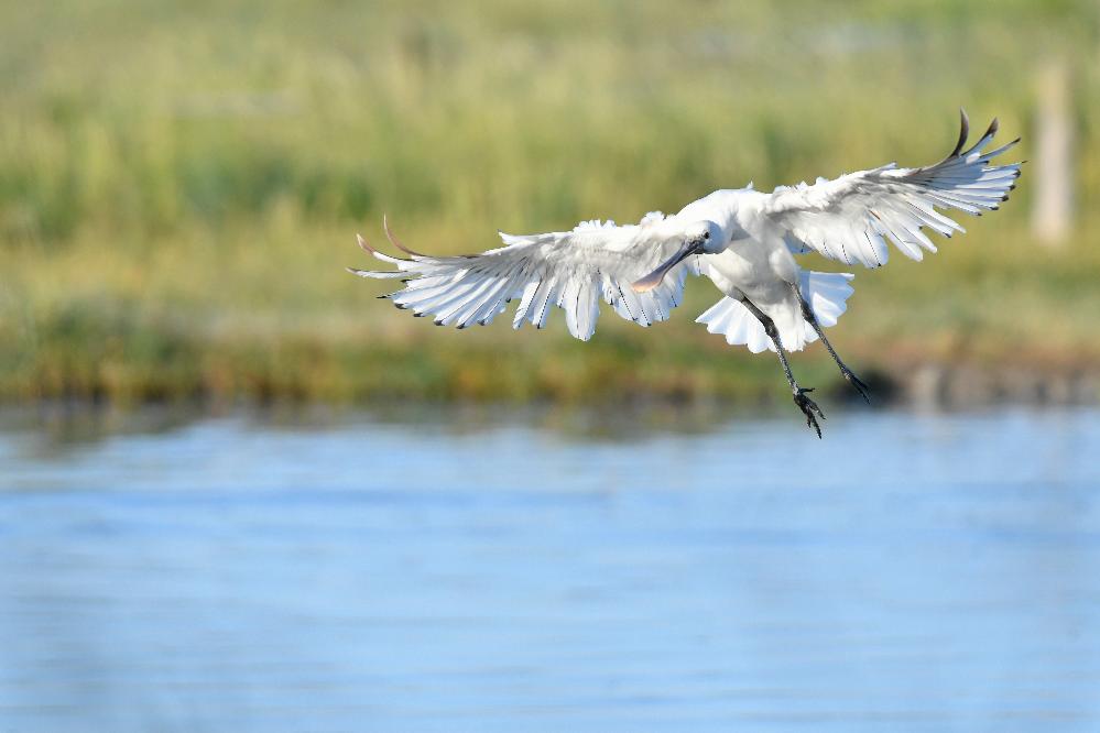 Espèces discrètes et monde secret, photographies par André Gloux