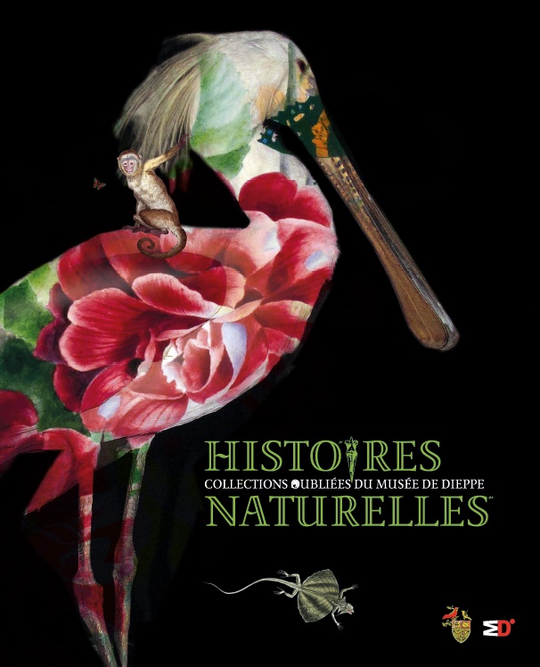 Histoires Naturelles - Collections oubliées du Musée de Dieppe