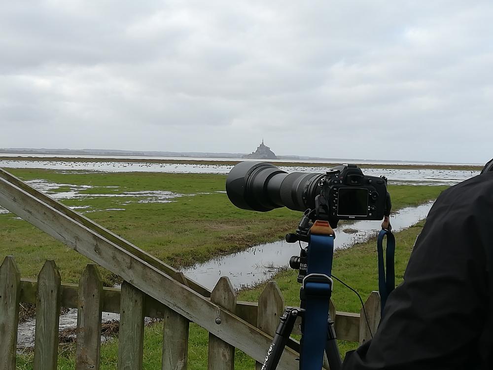 Préservons les zones humides