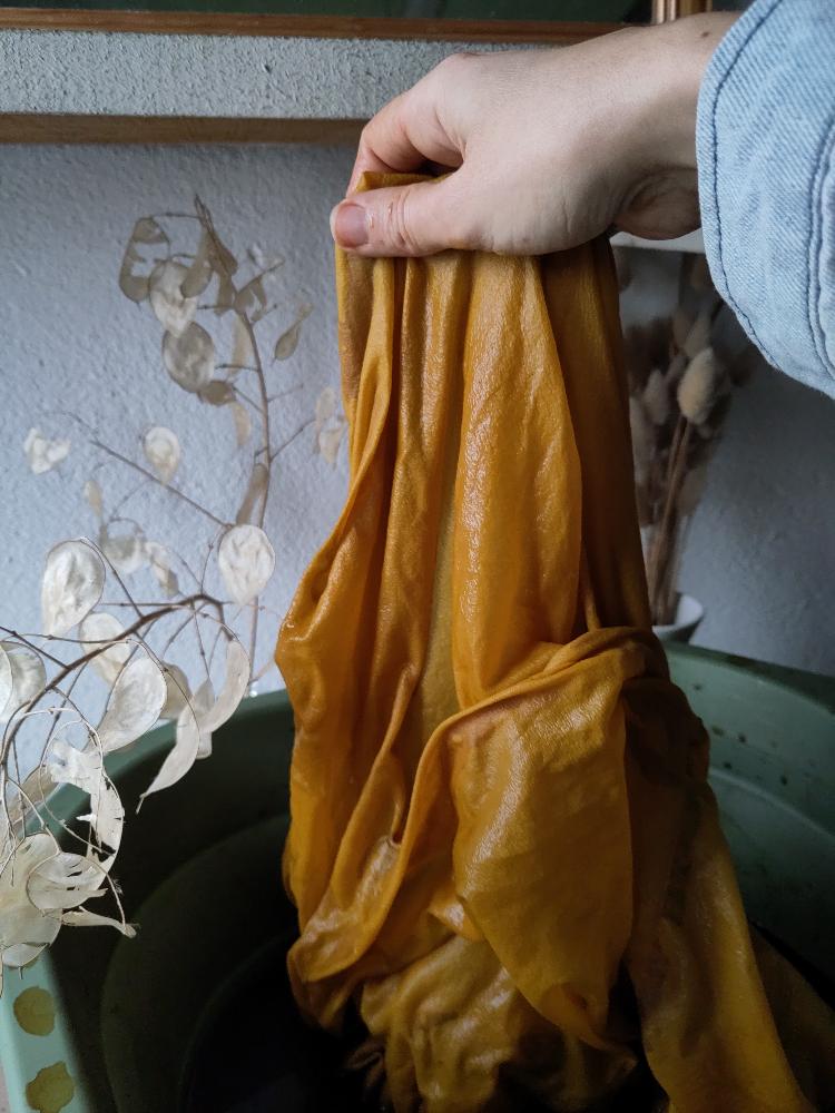 Atelier teinture zéro déchet 