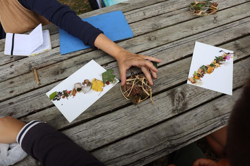 Découverte sensorielle de la haie et création végétale