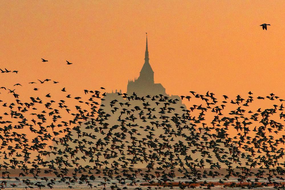 Conférence grand public