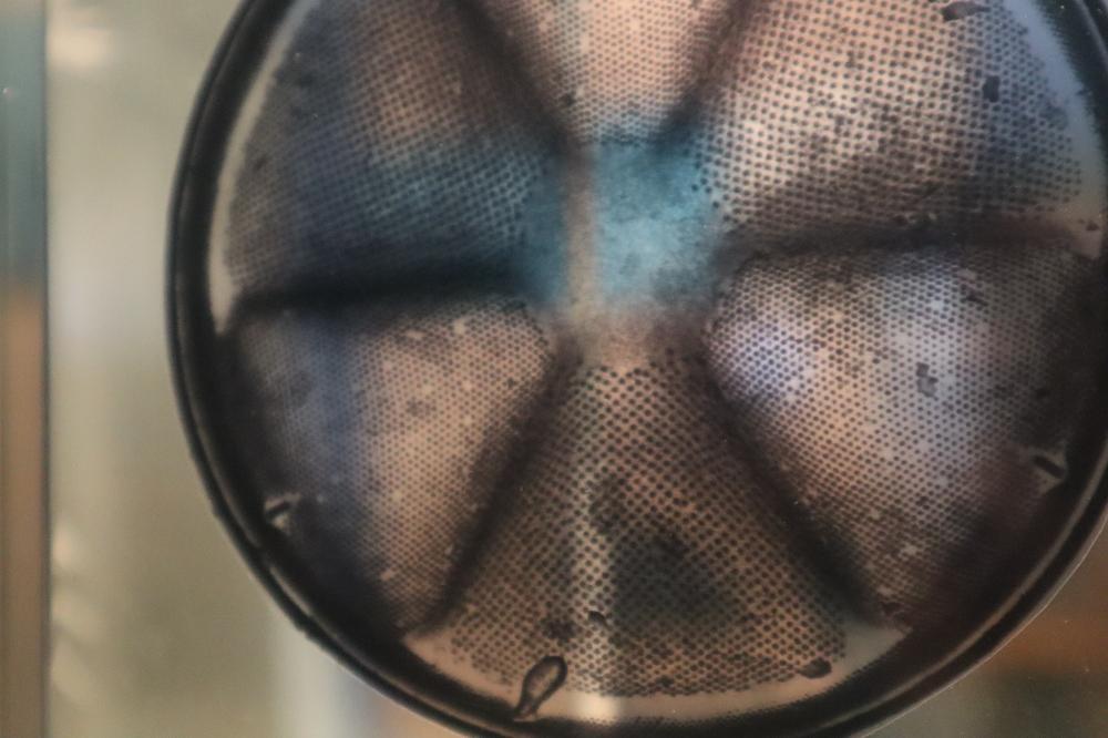 La p'tite visite de l'écomusée