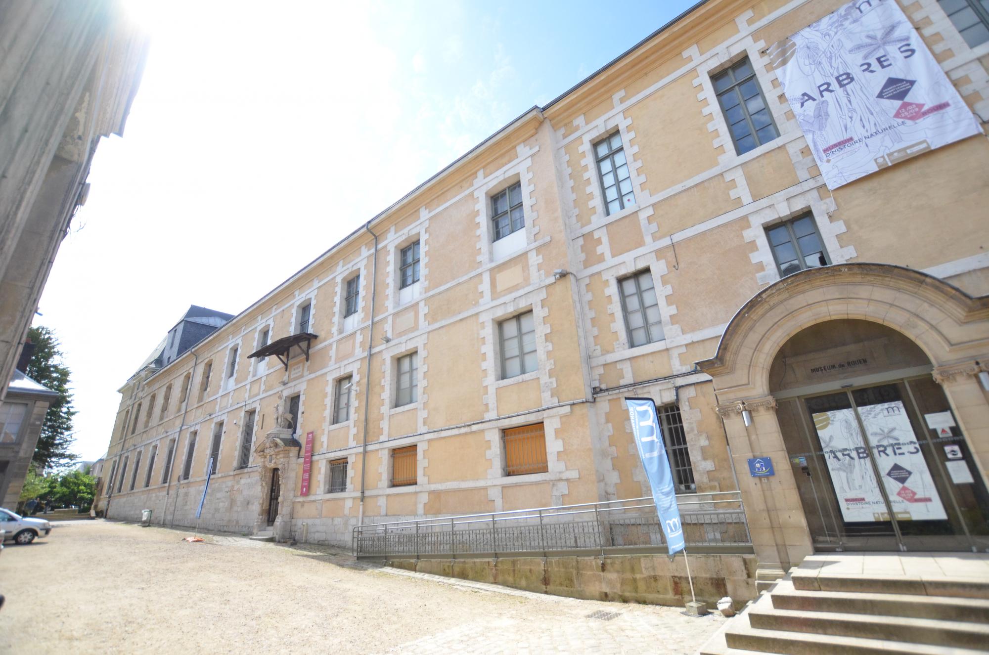Musée des Antiquités