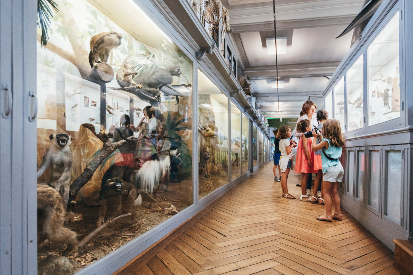 Muséum d'Histoire Naturelle