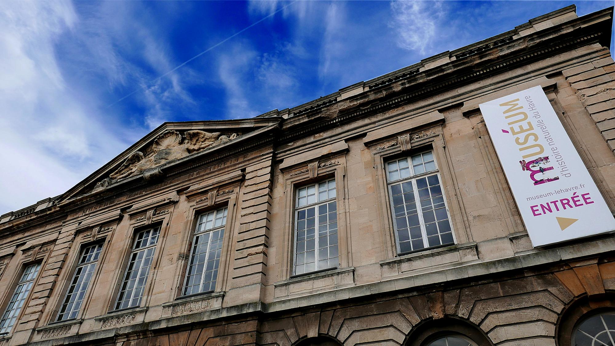 Muséum d'histoire naturelle du Havre