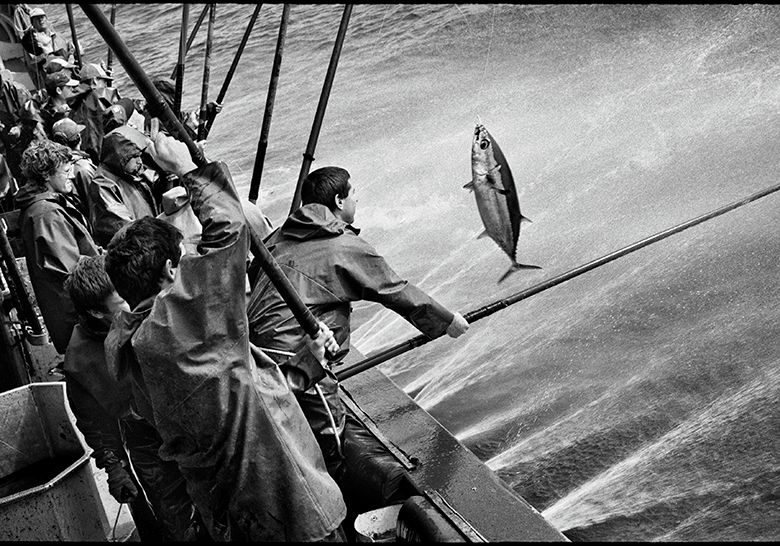 Exposition "Jean Gaumy. Océaniques"