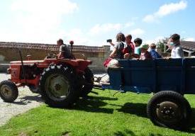 Balade en tracteur vintage