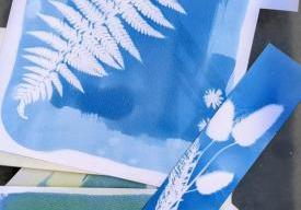 Atelier photographie au cyanotype 
