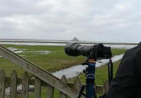 Préservons les zones humides