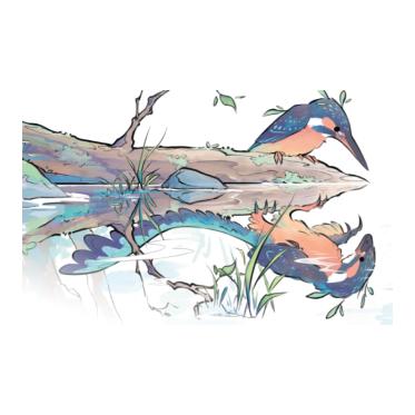 Des dinosaures aux oiseaux