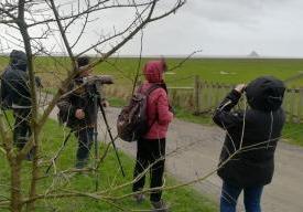 Sortie guidée sur les prés-salés