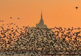 Conférence grand public