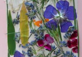 Atelier « mon petit herbier »
