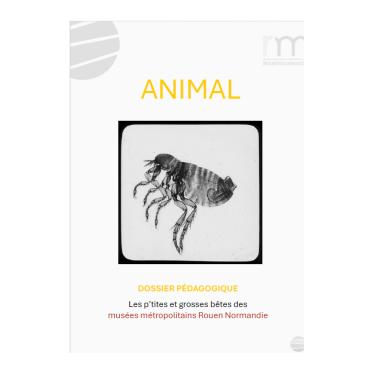 Dossier pédagogique "Animal"