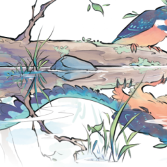 Des dinosaures aux oiseaux