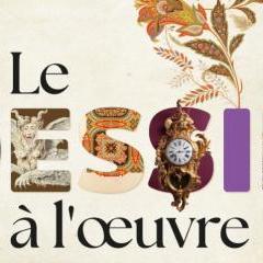 Dessiner Flaubert : Rochegrosse