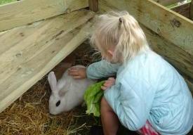 Visite des petits fermiers