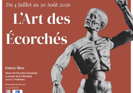 L'Art des Écorchés