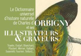 Le Dictionnaire universel d'histoire naturelle de Charles d'Orbigny et ses illustrateurs &graveurs