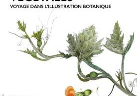 VÉGÉTALES Voyage dans l'illustration botanique
