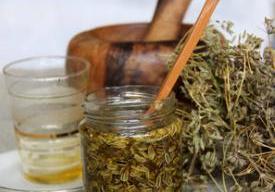 Atelier recettes à base de plantes sauvages avec La Tisane Lumineuse