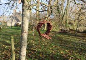 Atelier "Fabrication d'une mangeoire à oiseaux"