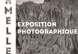 Exposition "hermelles"
