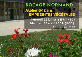 Atelier 6-12 ans « Empreintes végétales » 