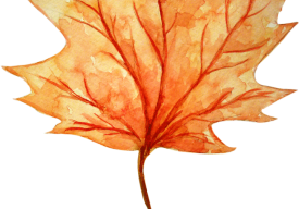 Atelier « illustration d'automne » (9- 15 ans)