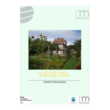 Végétal