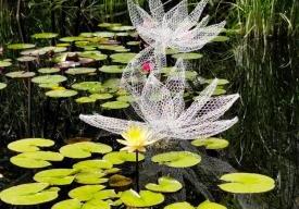 Le monde flottant de Claude Monet
