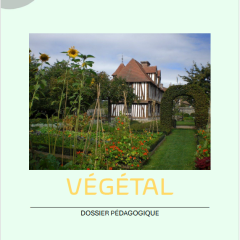 Végétal 