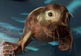 La p'tite visite de l'écomusée