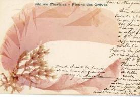 Atelier d'écriture autour de l'alguier de Maria Doublet