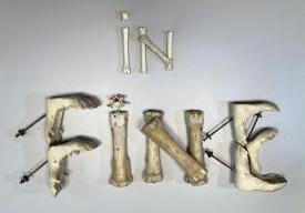 IN FINE